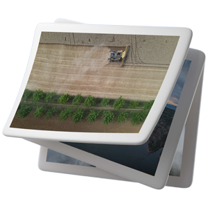 La séléction des meilleurs clichés