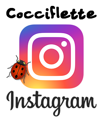 Cocciflette sur Instagram